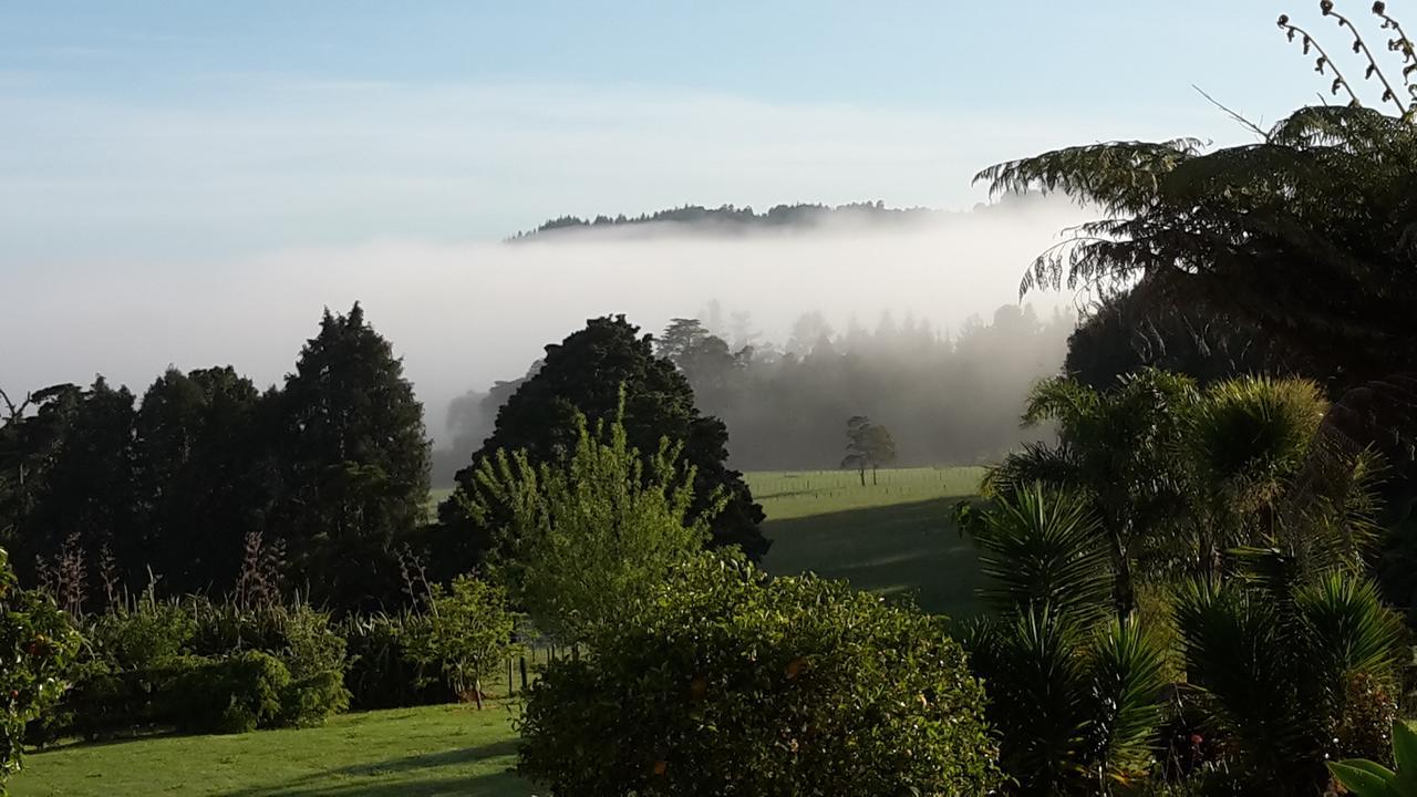 Vinegar Hill Panzió Kauri Kültér fotó